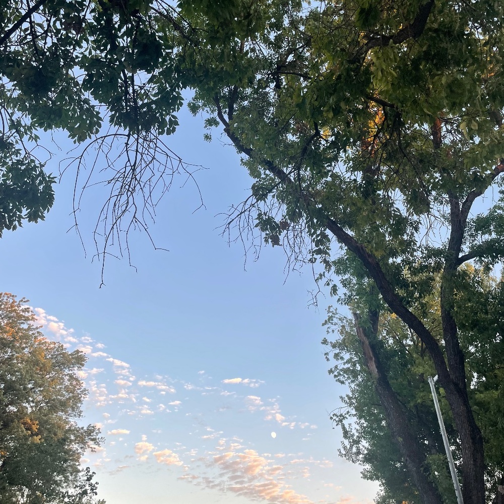 Meet your Posher, Gwen